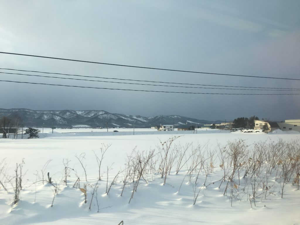 Field of Hokkaido