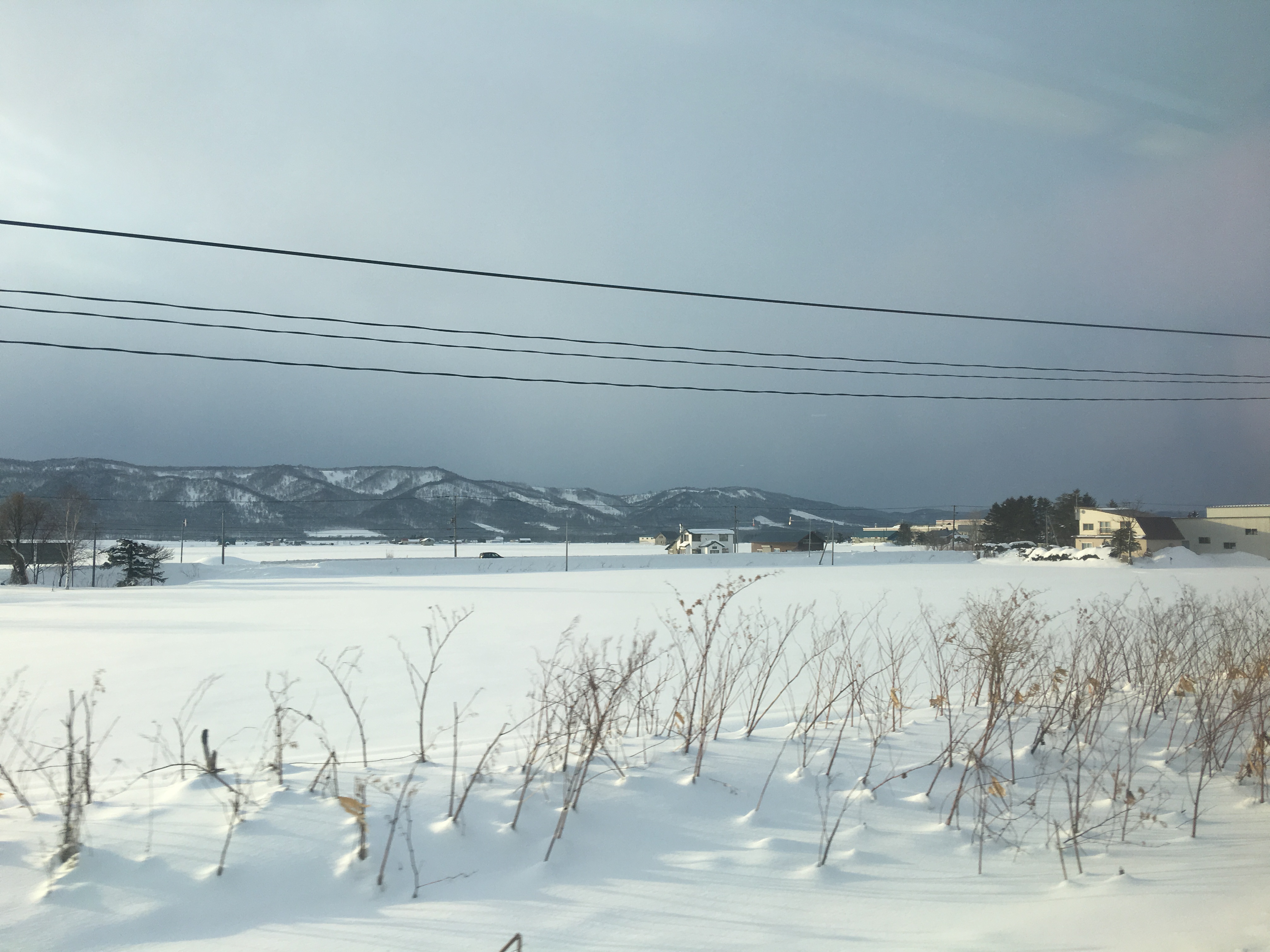 Field of Hokkaido
